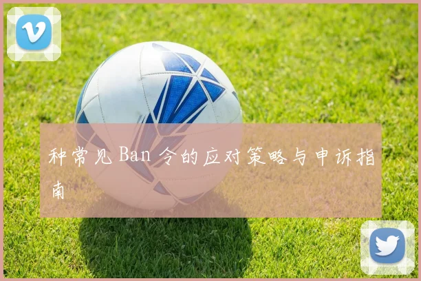 种常见 Ban 令的应对策略与申诉指南