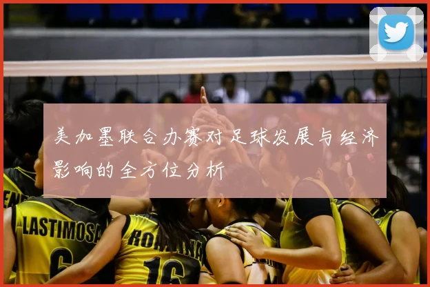 美加墨联合办赛对足球发展与经济影响的全方位分析